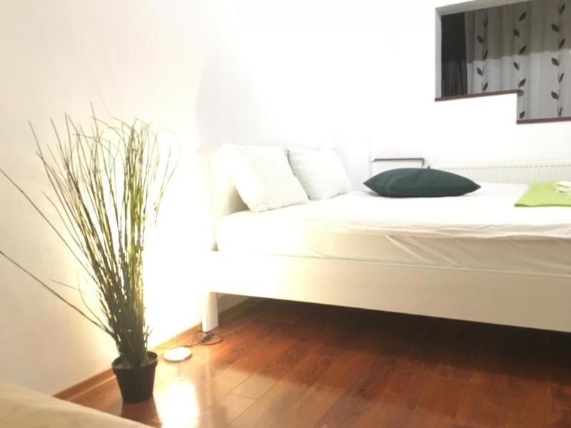 New Green Apartment Studio 1 부쿠레슈티 객실 사진